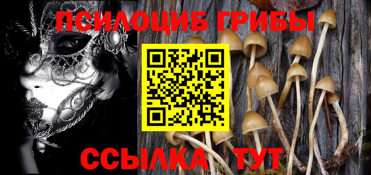 Галлюциногенные грибы прущие грибы Волгодонск
